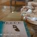 ThermaeSea Luxury Lodge
