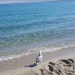 Al Mare