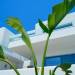 Narciso Luxury Suites
