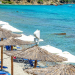 Xenios Dolphin Beach