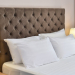 Palladium Sithonia