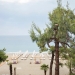 Oceana Beach