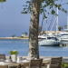 Sani Club