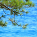 Vathi Cove Luxury Resort & Spa