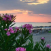 Ninos Grand Hotel & Resort