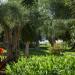 Delfinia Corfu