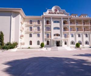 Avalon Palace