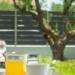 Oliva Suites Nikiti